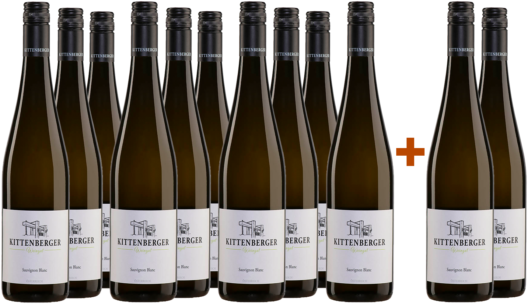 10+2 Paket Sauvignon Blanc trocken 