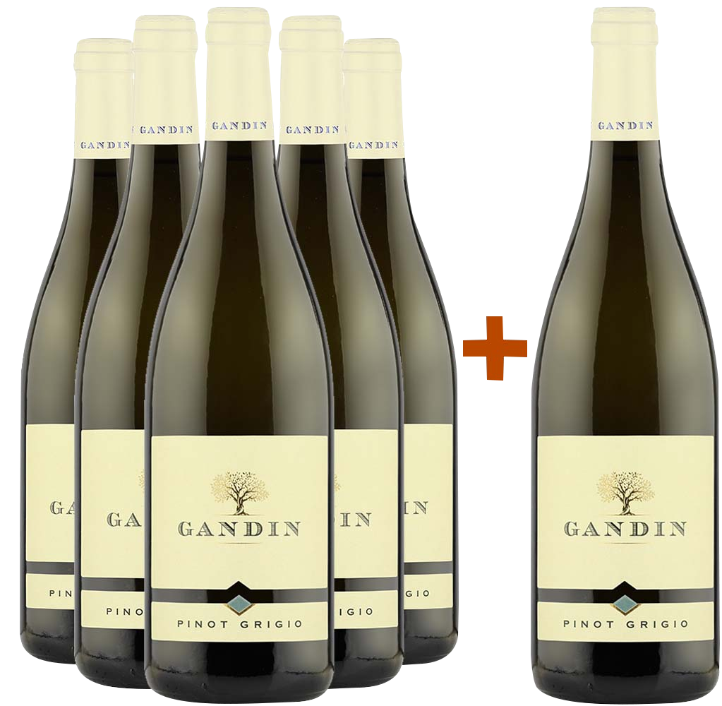 5+1 Paket Pinot Grigio Friuli Isonzo DOC