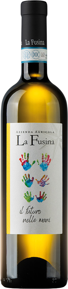 2025 Langhe Sauvignon DOC reflection