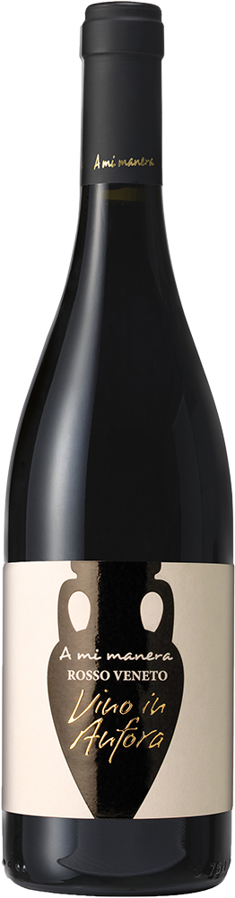 2021 Rosso Anfora Veneto IGP