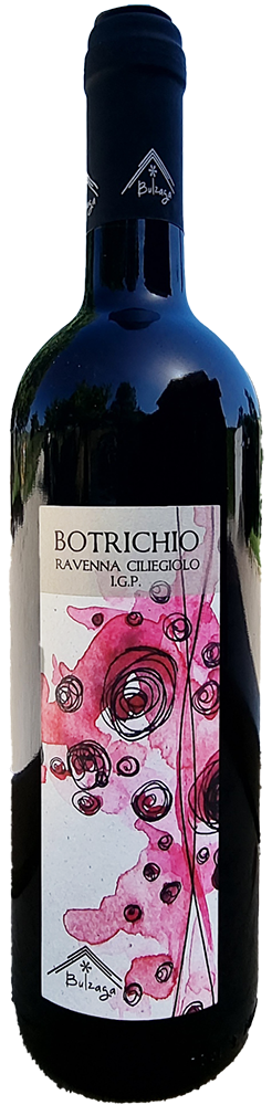 2023 Botrichio Ravenna IGP BIO reflection