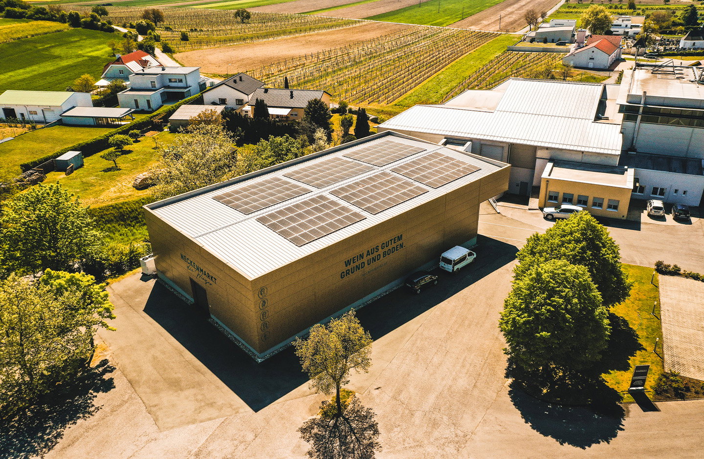 Neckenmarkt die Winzer