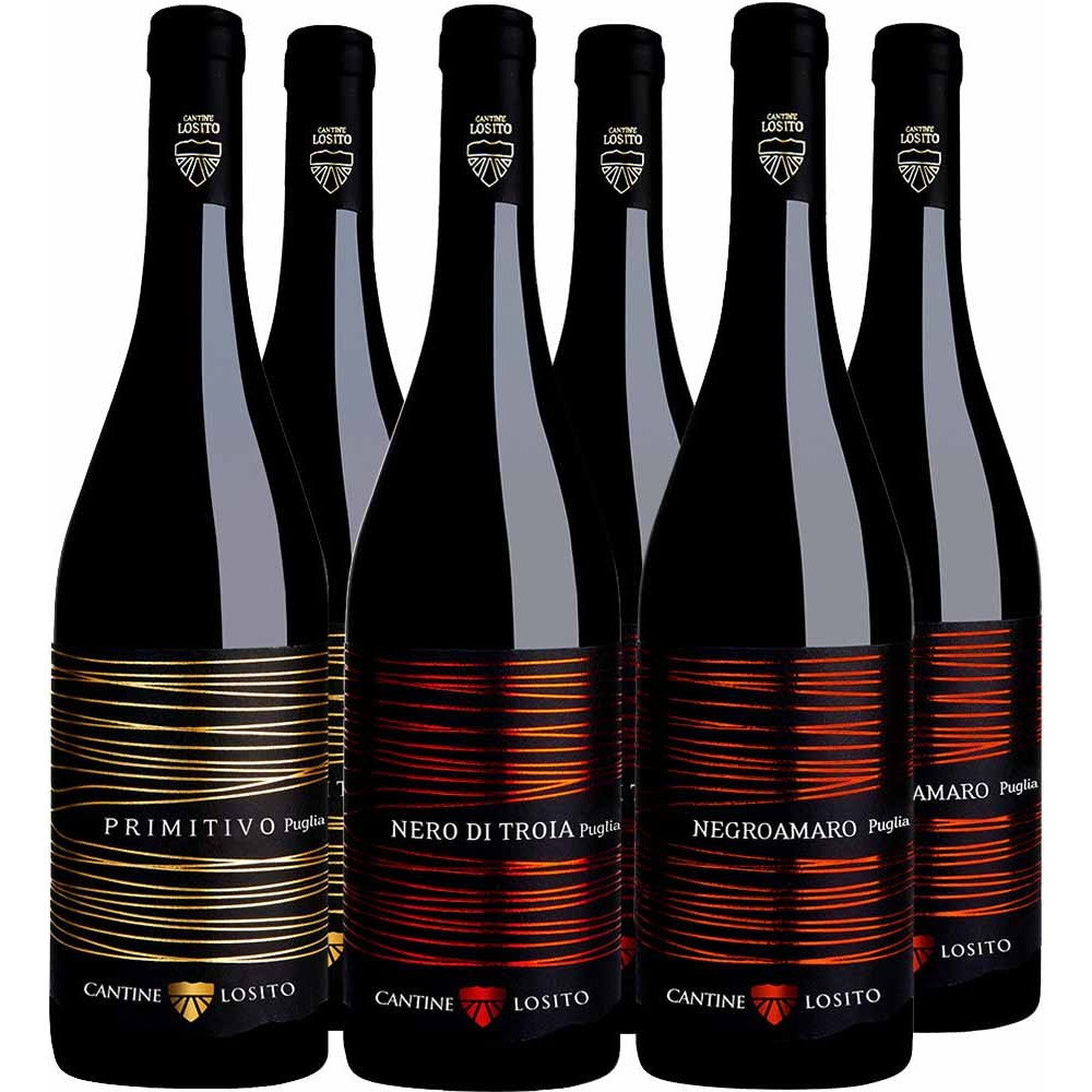 Cantine Losito Rotwein-Paket BIO