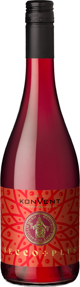 Secco Plus reflection