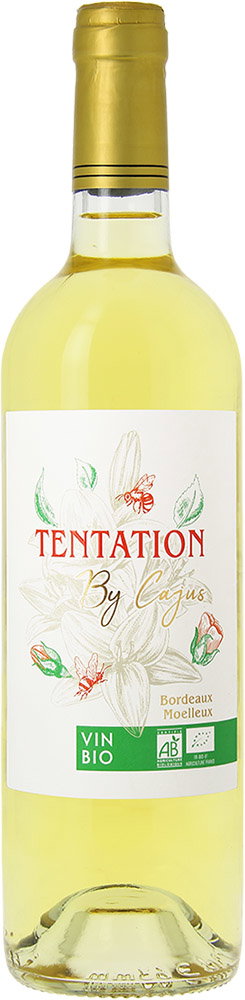 2022 Cuvée Tentation Bordeaux AOP BIO reflection