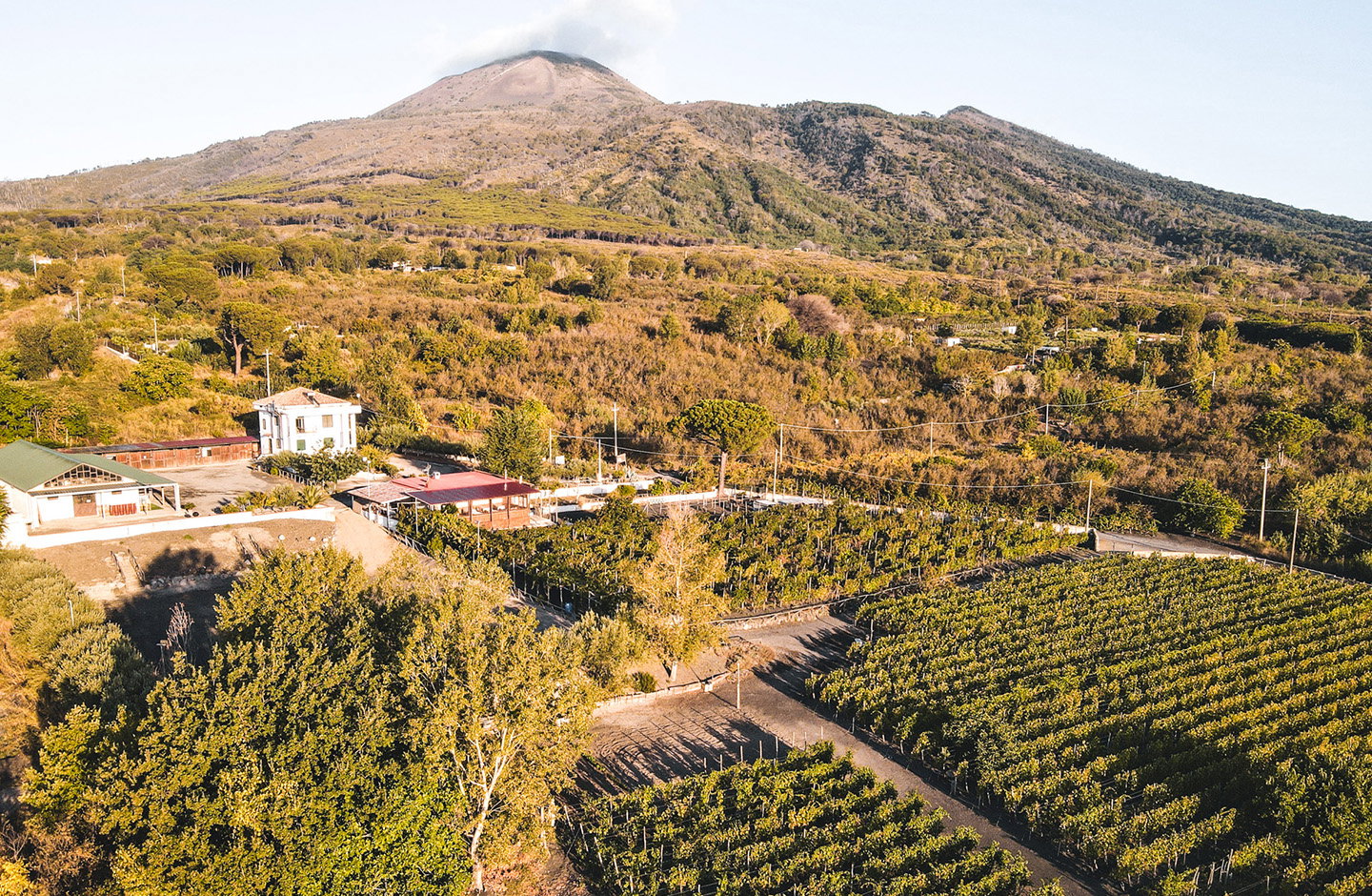 Tenuta le Lune del Vesuvio
