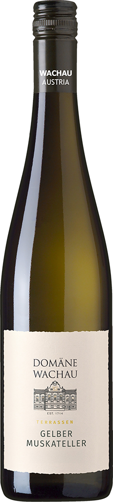 2025 Gelber Muskateller Terrassen