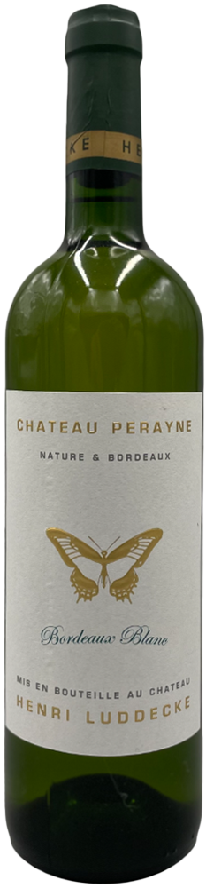 2024 Blanc Bordeaux AOP