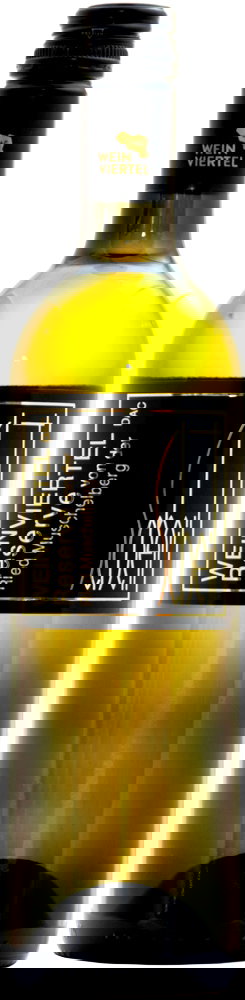 2023 Muschelberg Reserve - Weinviertel DAC Reserve