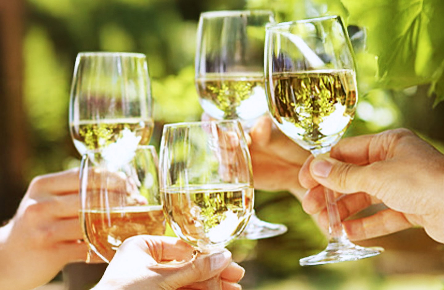 Josef Drathen GmbH & Co. KG Wein- und Sektkellerei