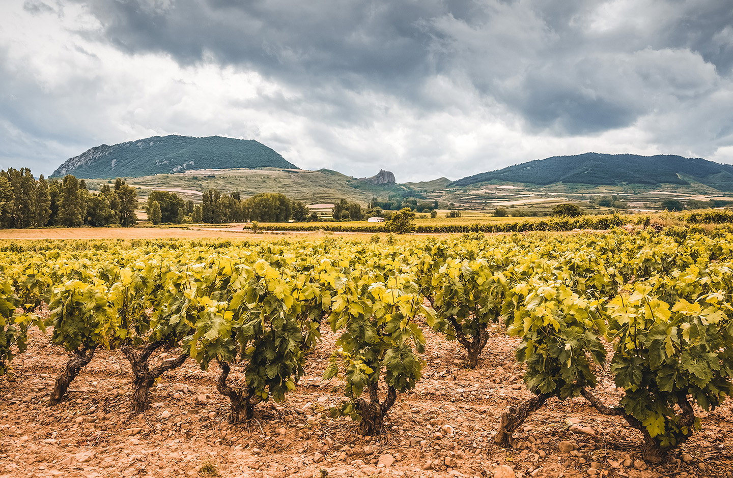 Gaumenfreuden im top Angebot von Weingut Wruss