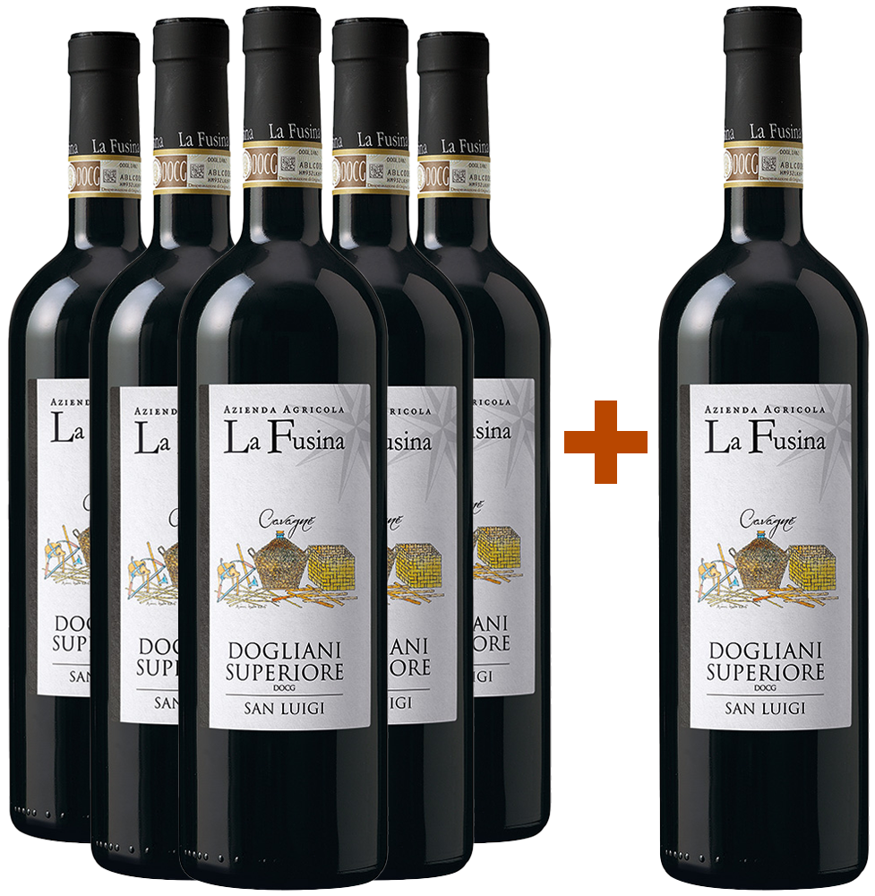 5+1 Paket San Luigi Cavagnè Dogliani Superiore DOCG