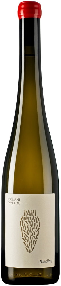 2022 Riesling Amphora