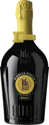 2022 Spumante Ribolla Gialla BIO