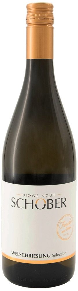 2024 Welschriesling Selection
