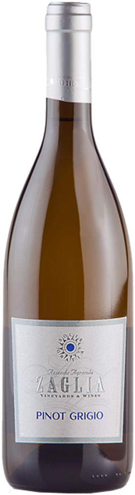 2024 Pinot Grigio Friuli DOC