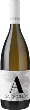 2023 Sauvignon Friuli Isonzo DOC
