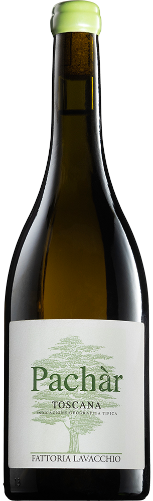 2024 Pàchar Toscana IGP BIO