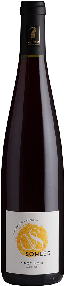 2024 Pinot Noir Alsace AOP BIO