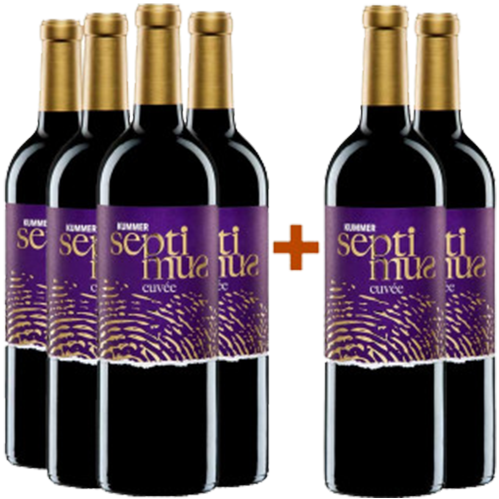 4+2 Cuvée SEPTIMUS Paket trocken
