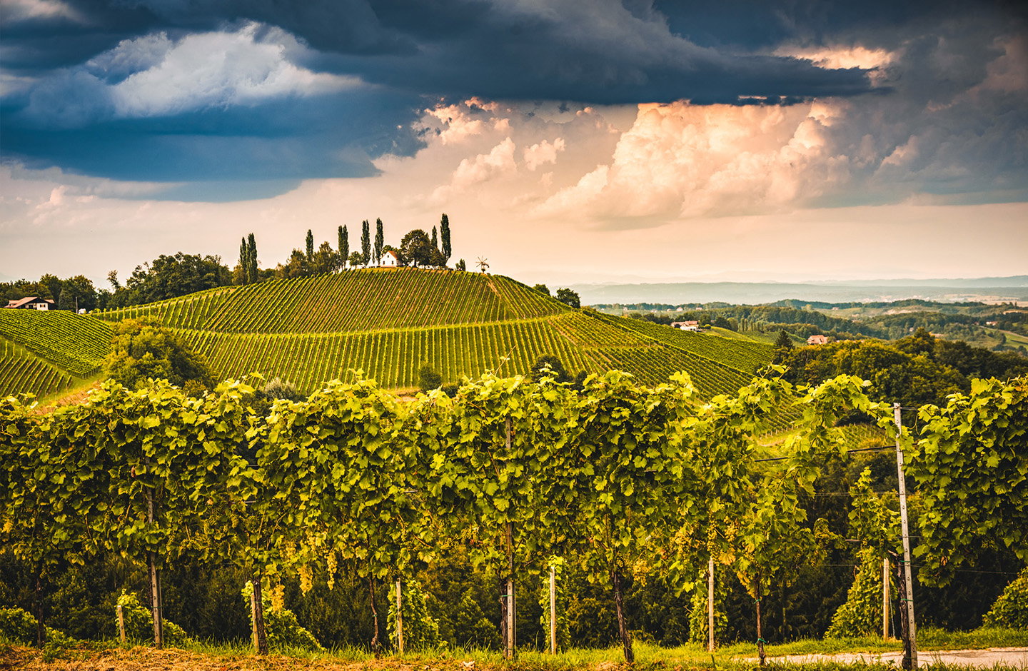 Friedrich Wilhelm Jung