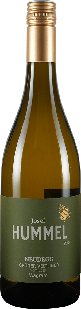 2025 Grüner Veltliner vom Löss BIO