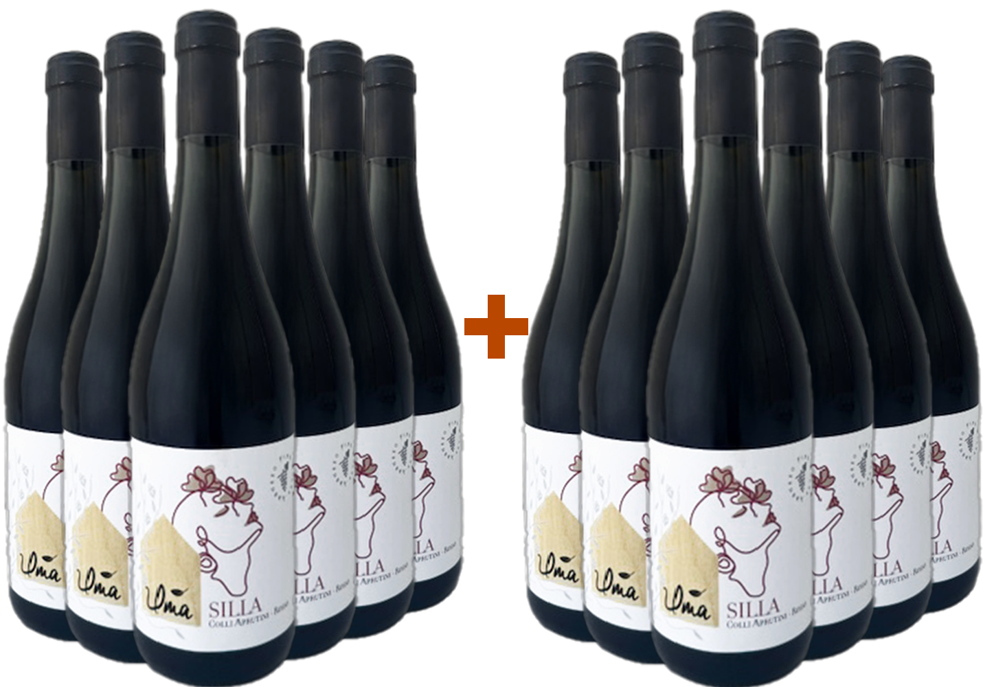 6+6 Paket Silla Colli Aprutini IGP