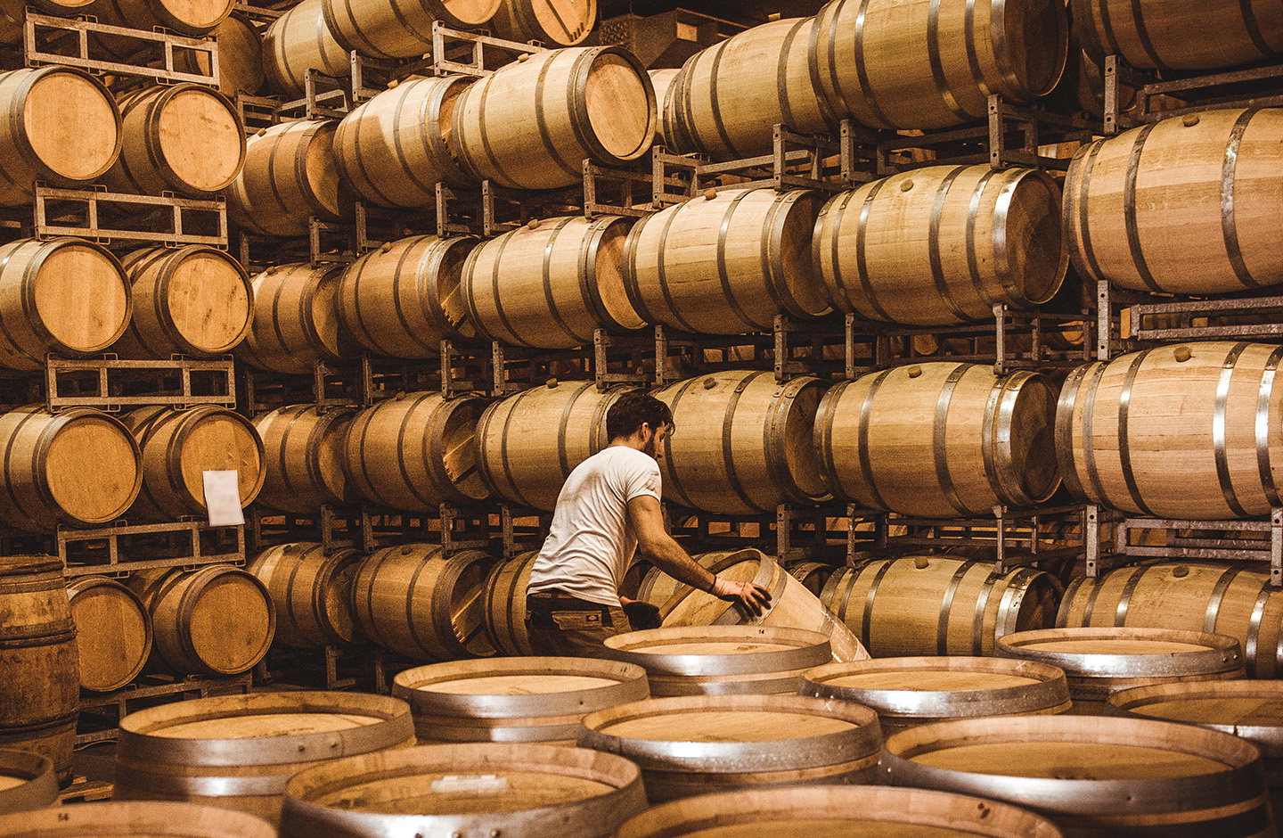 Typisch Österreich: Weinvielfalt aus Carnuntum