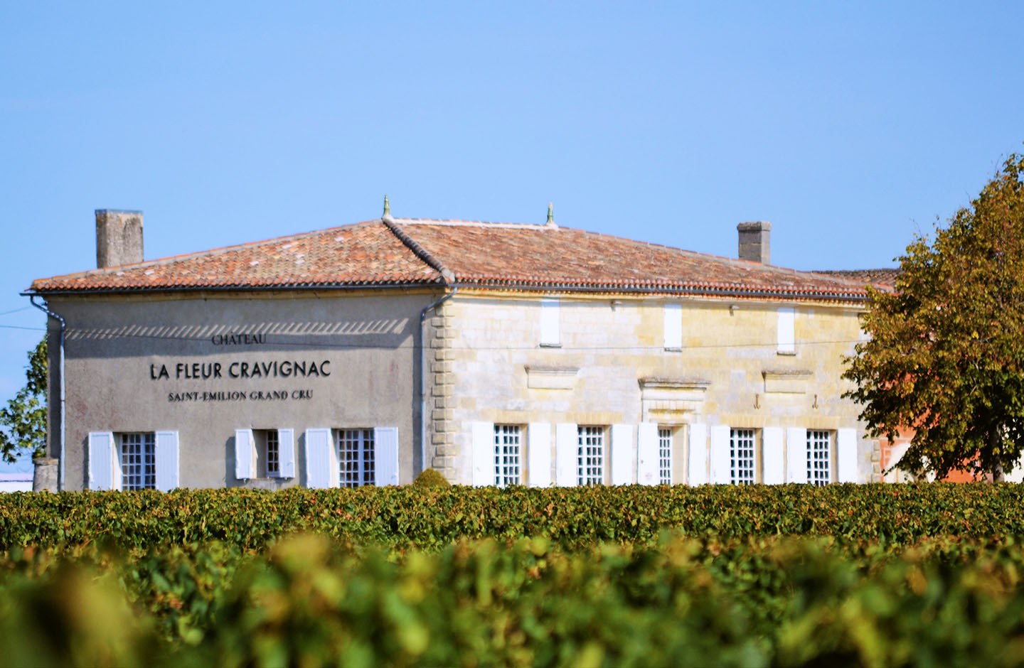 Château La Fleur Cravignac