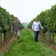 Weingut Helmut Maglock (DE)