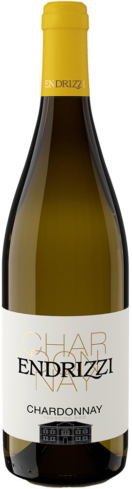 2025 Chardonnay Trentino DOC