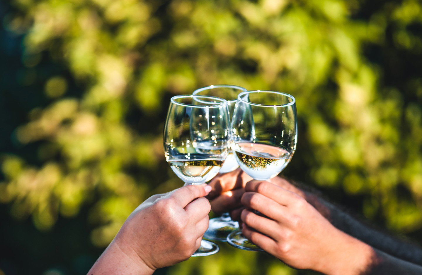 Ausbalanciertes Säurespiel trifft fruchtige Eleganz.