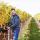 Weingut Steffen Lahm