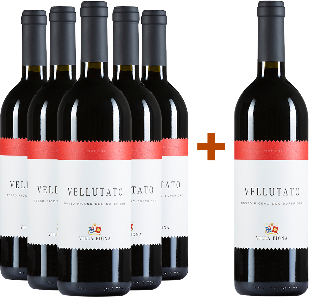 5+1 Paket Vellutato Rosso Piceno Superiore DOC
