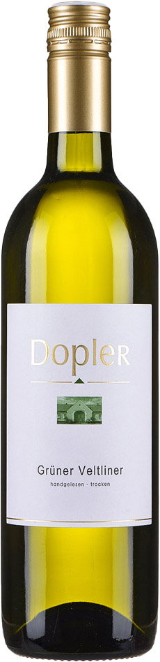 2022 Grüner Veltliner reflection