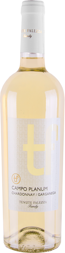 2025 Campo Planum Chardonnay/Garganega Verona IGP reflection
