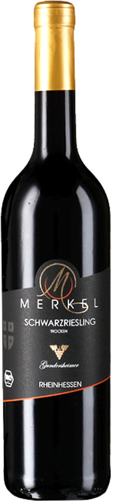 2025 Gundersheimer Höllenbrand Schwarzriesling