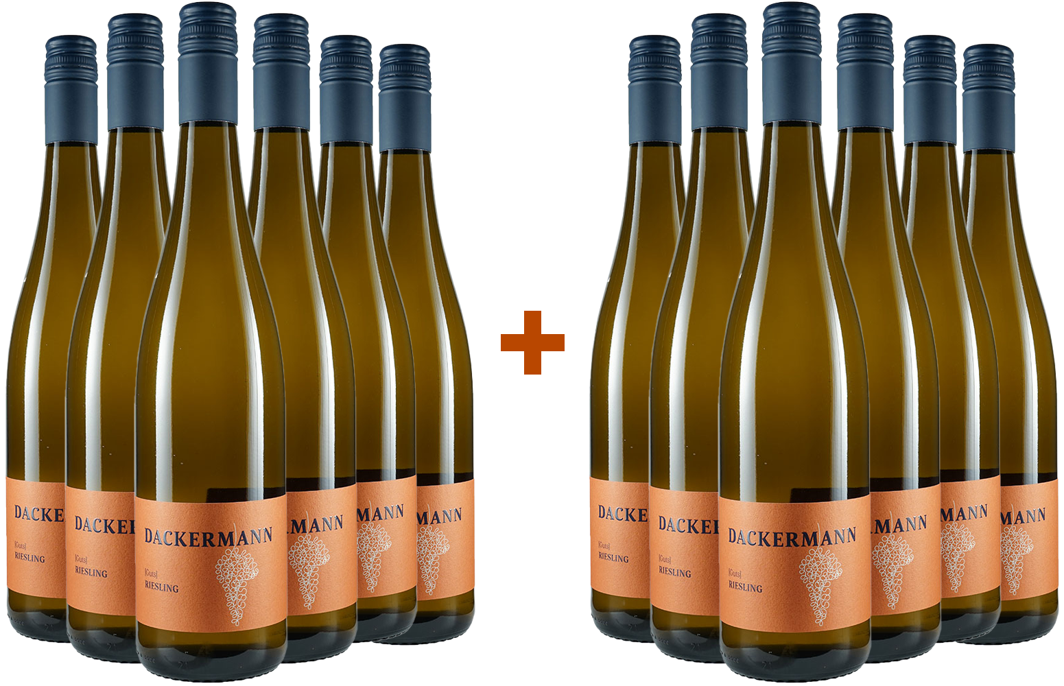 6+6 Paket Riesling Gutswein trocken