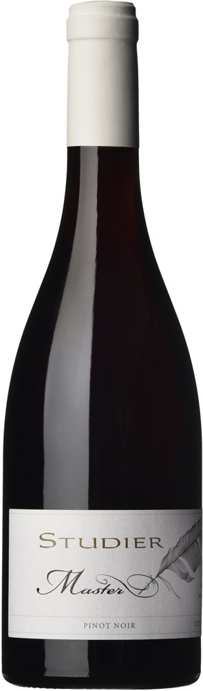 2024 Pinot Noir Rotwein MASTER BIO reflection