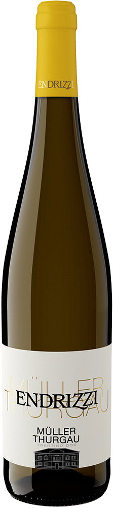 2024 Müller Thurgau Trentino DOC