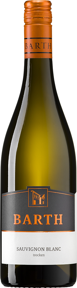 2024 Sauvignon Blanc