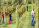 Cantina Donini