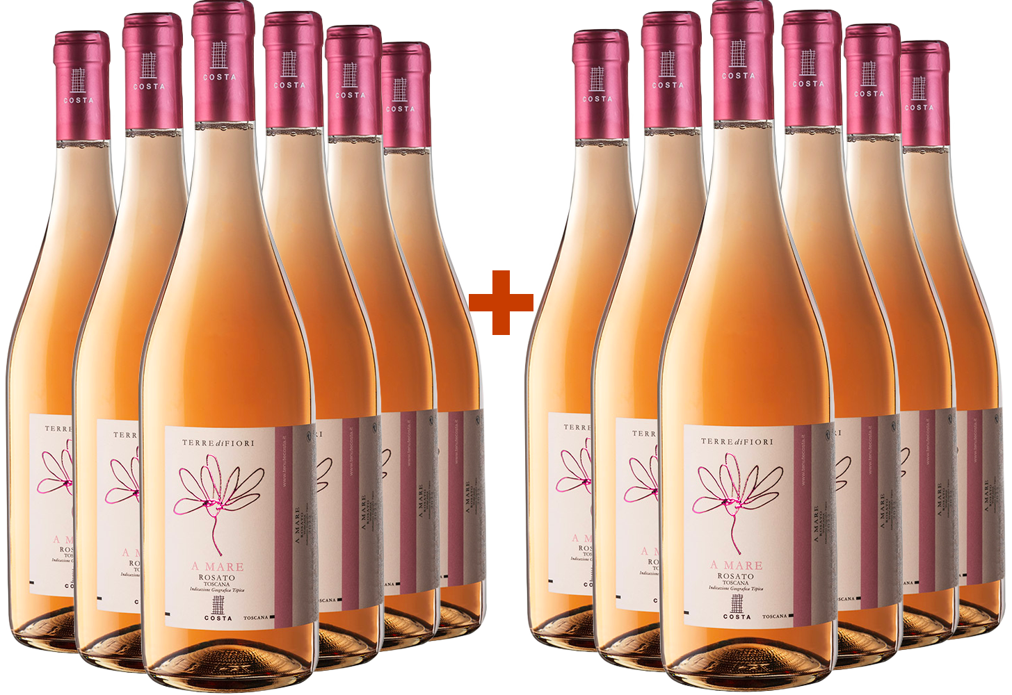6+6 Paket Terredifiori A Mare Rosé Toscana IGP