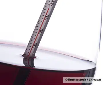 Thermometer in Rotwein