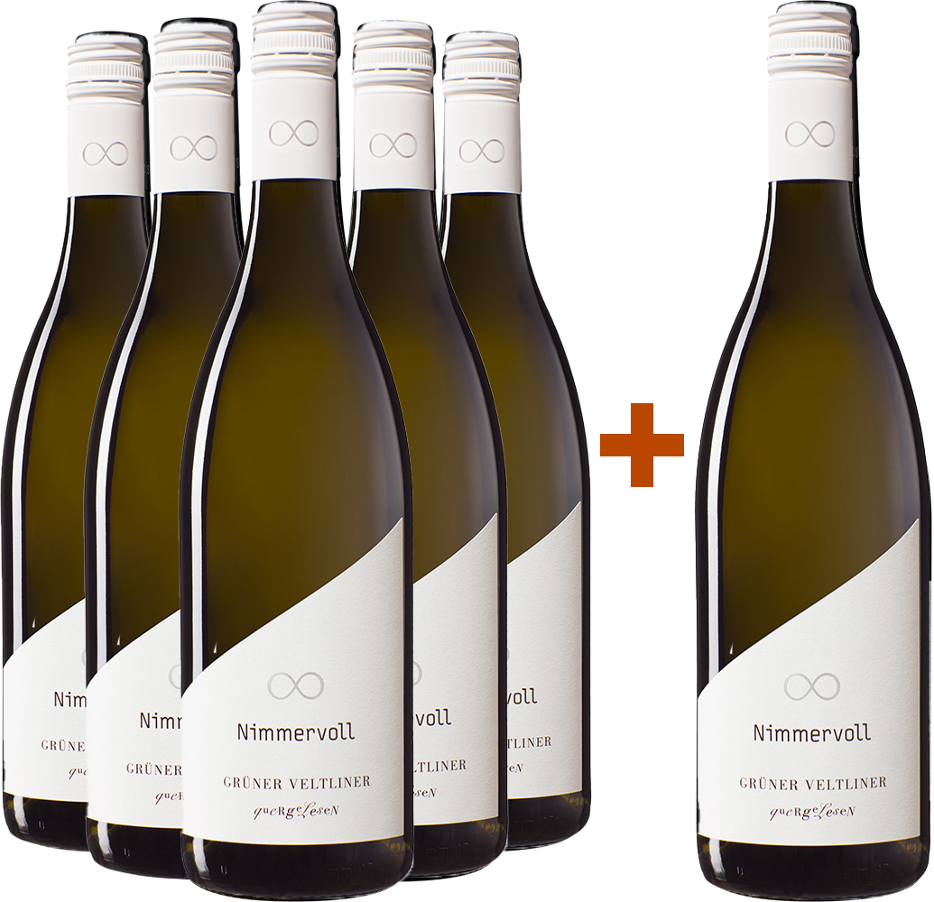 5+1 Grüner Veltliner "WIND & WEITE" trocken