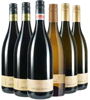 Intensiv, elegant, bio – Pinot Noir von Edelbauer