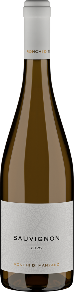 2025 Sauvignon Friuli Colli Orientali DOC reflection