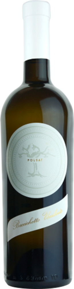 2021 Polsat Venezia Giulia IGP