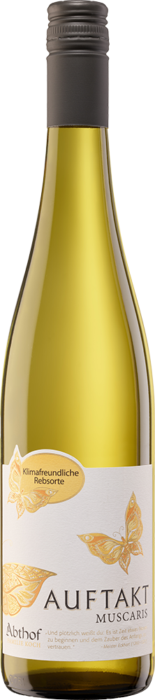 2024 Auftakt Muscaris