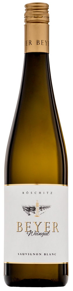 2020 Sauvignon Blanc reflection